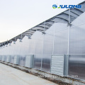 Multi Span Agricultural Polycarbonate Sheet Greenhouse